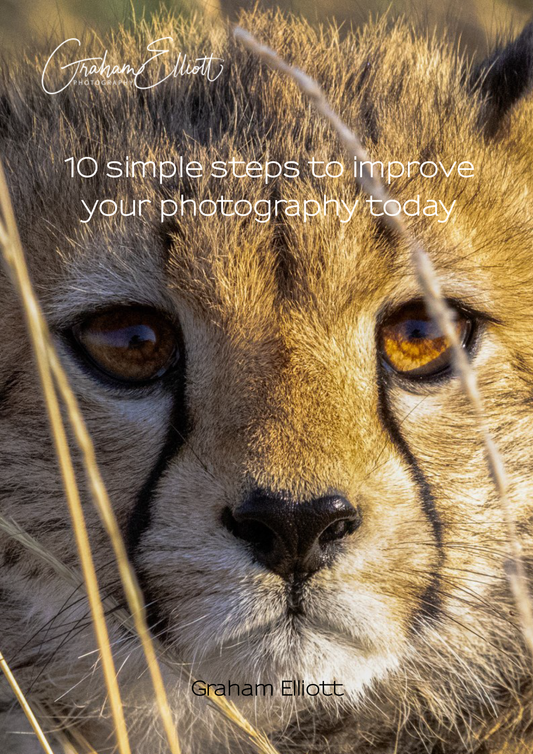 10 Simple steps to improve your photography today