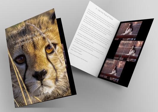 10 Simple steps to improve your photography today