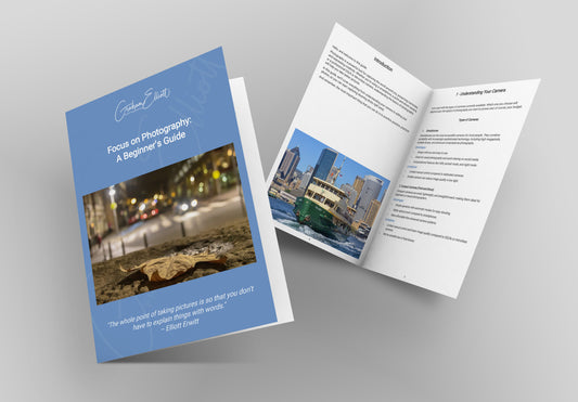 Focus on Photography: A Beginners Guide