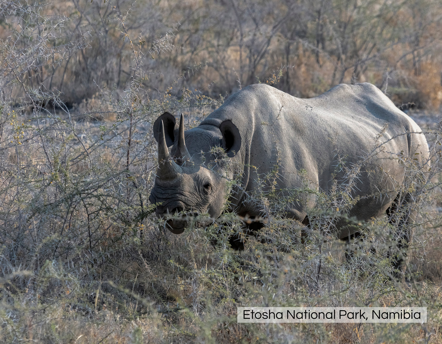 Graham Elliott Photography 2026 Calendar