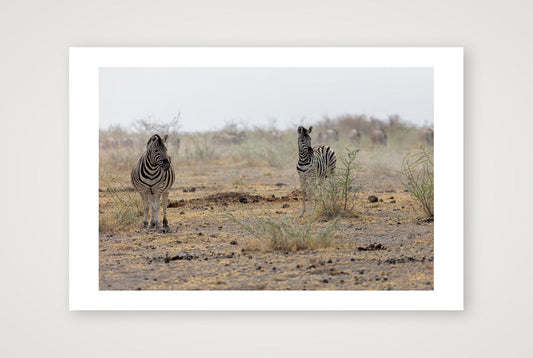 !Oareb — 60×40cm, 24×16" Print only