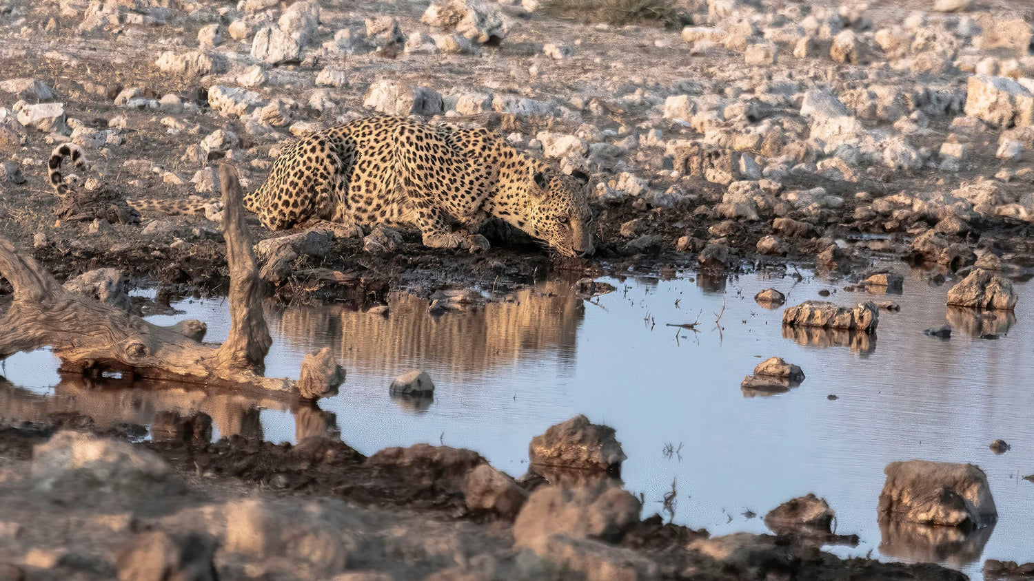Namibia 2024