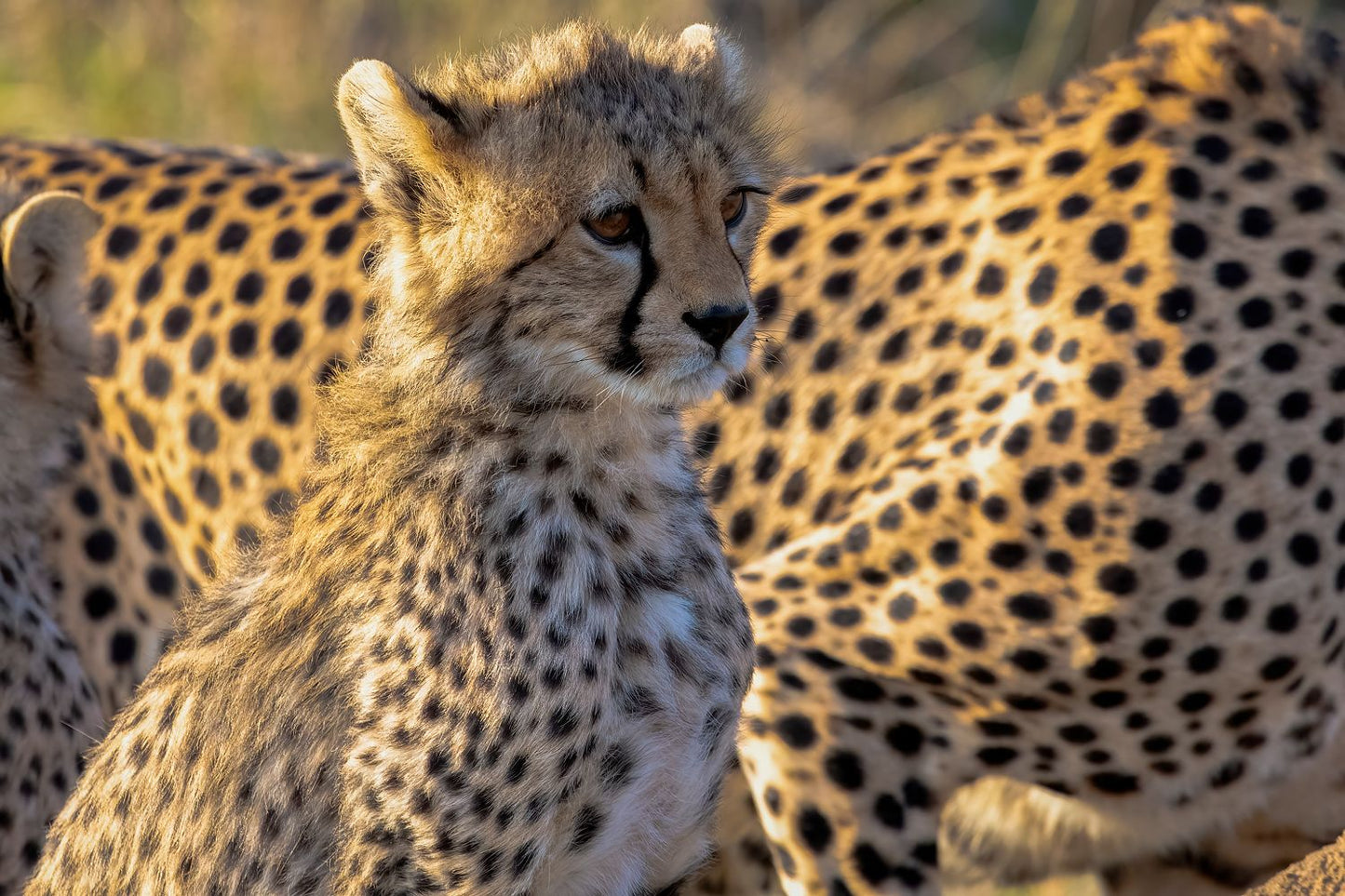 Tumaini