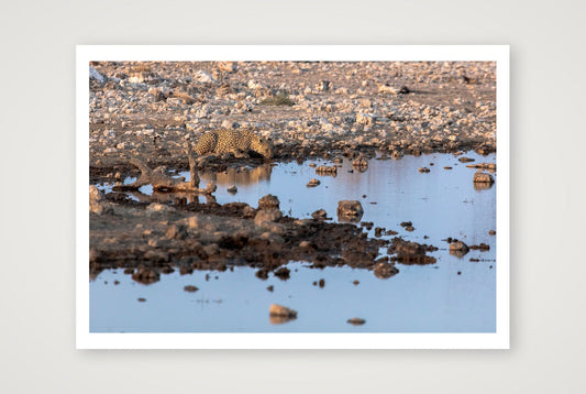 Ongwe — 100×70cm, 39×28" Print only