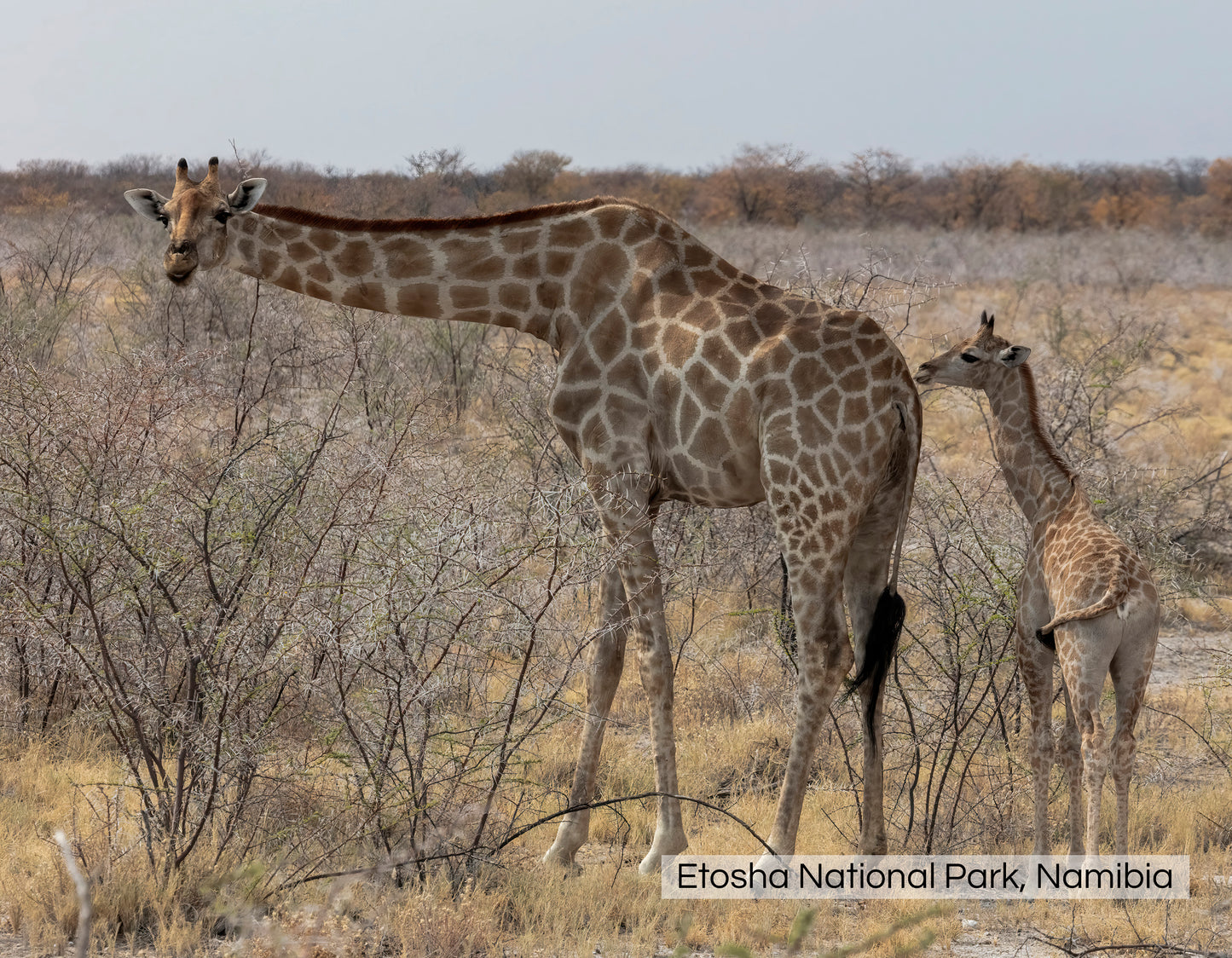 Graham Elliott Photography 2026 Calendar