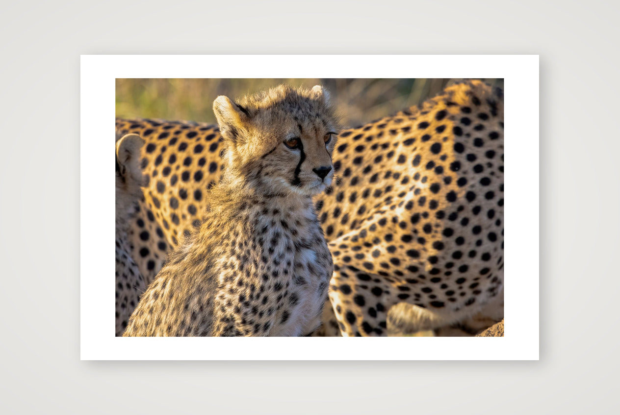 Tumaini — 45×30cm, 18×12" Print only