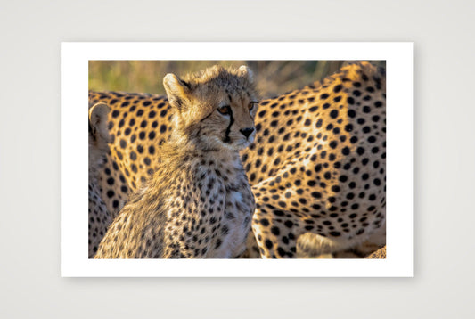 Tumaini — 45×30cm, 18×12" Print only