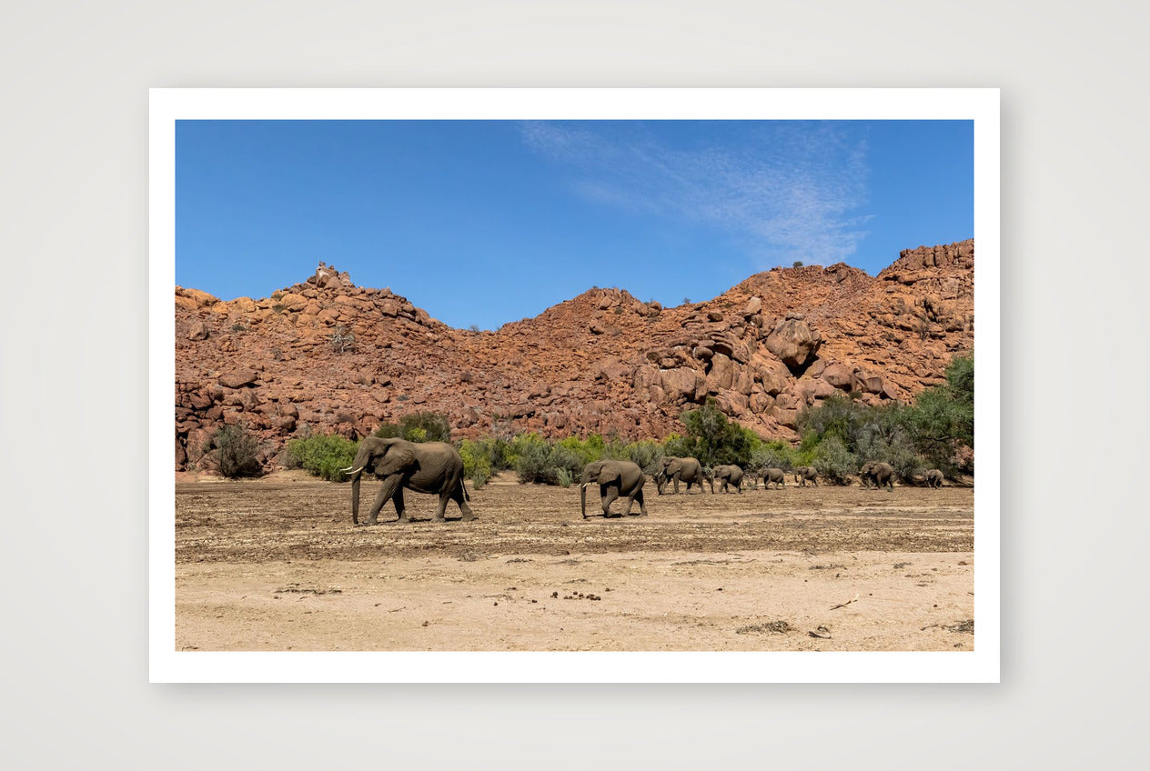 The long road — 100×70cm, 39×28" Print only
