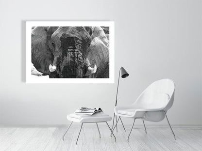 9855859-4118637