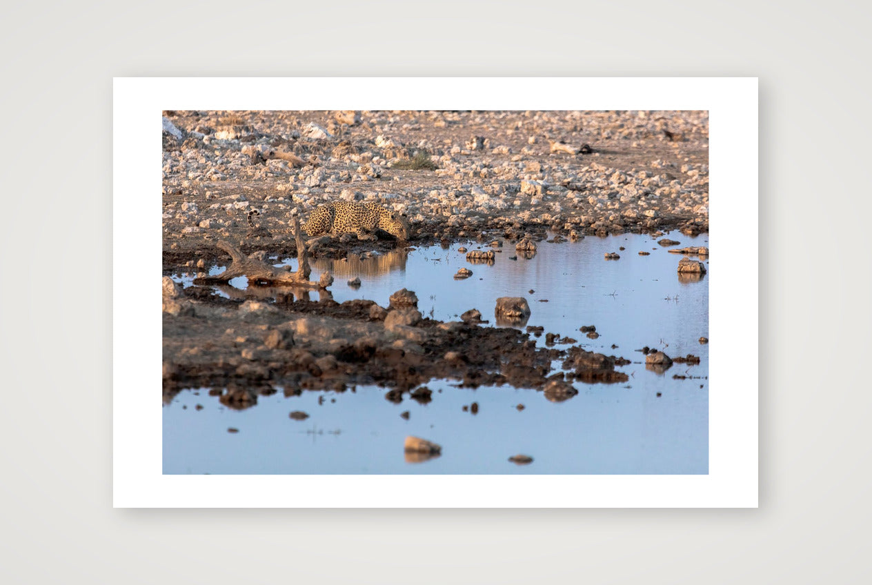 Ongwe — 45×30cm, 18×12" Print only