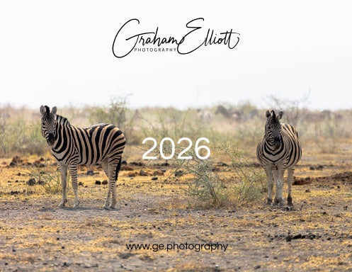 Book Cover Variant Thumbnail