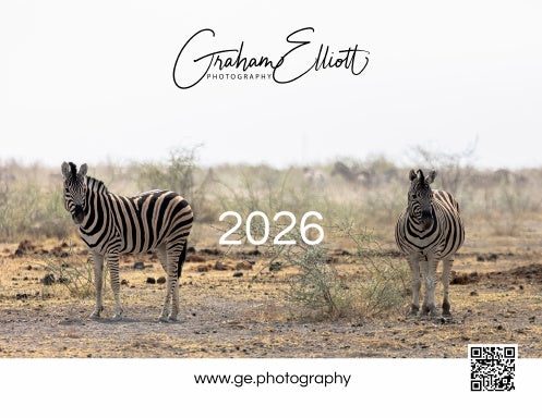 Book Cover Variant Thumbnail